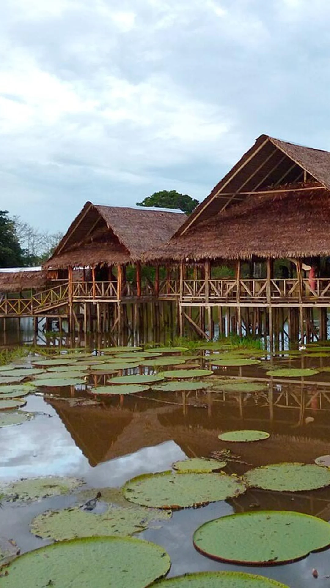 Viaje nacional a Amazonas